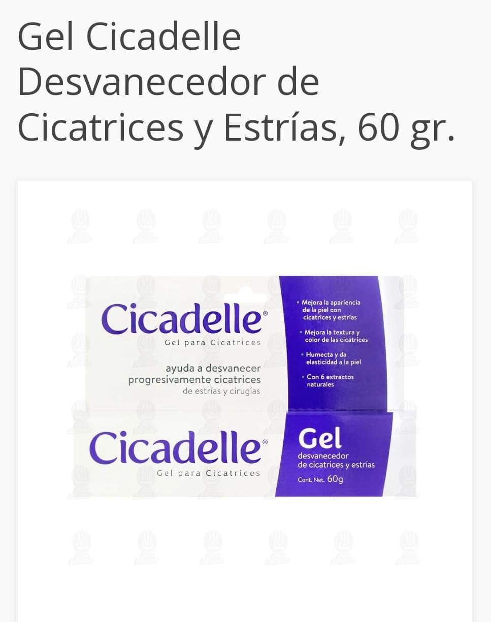 CICADELLE
